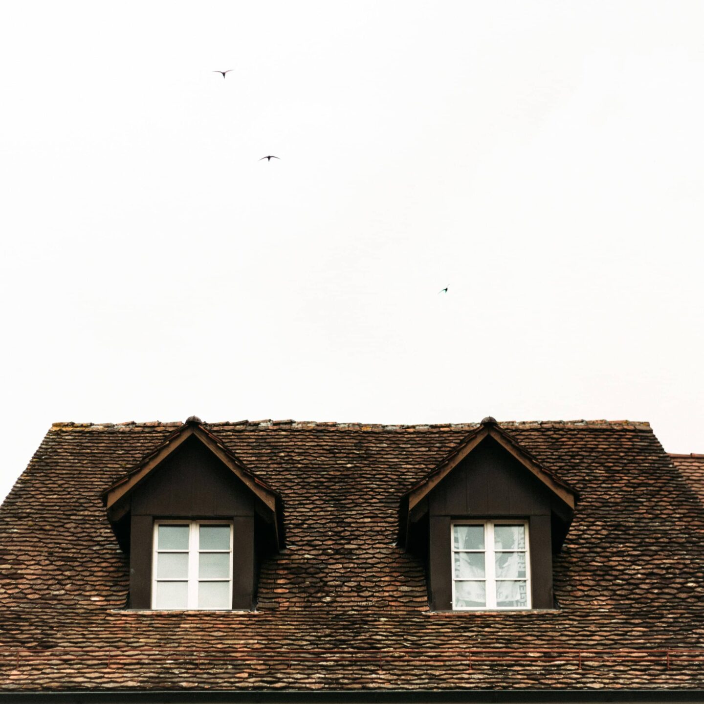 Brown shingled roof with two dormer windows against a pale sky; three birds are flying high above this classic example of residential roofing.